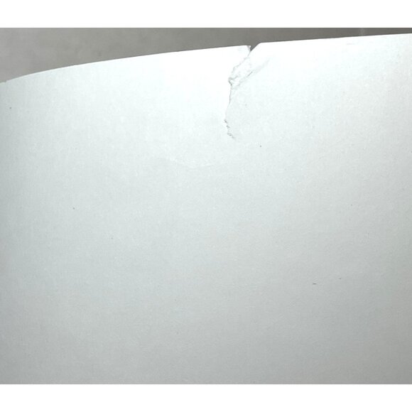 Governing States And Localities 7th Edition Book Kevin B. Smith Alan Greenblatt - Picture 12 of 15